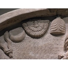 Ashur, Shamash, Sin, Adad and Ishtar symbols on stela